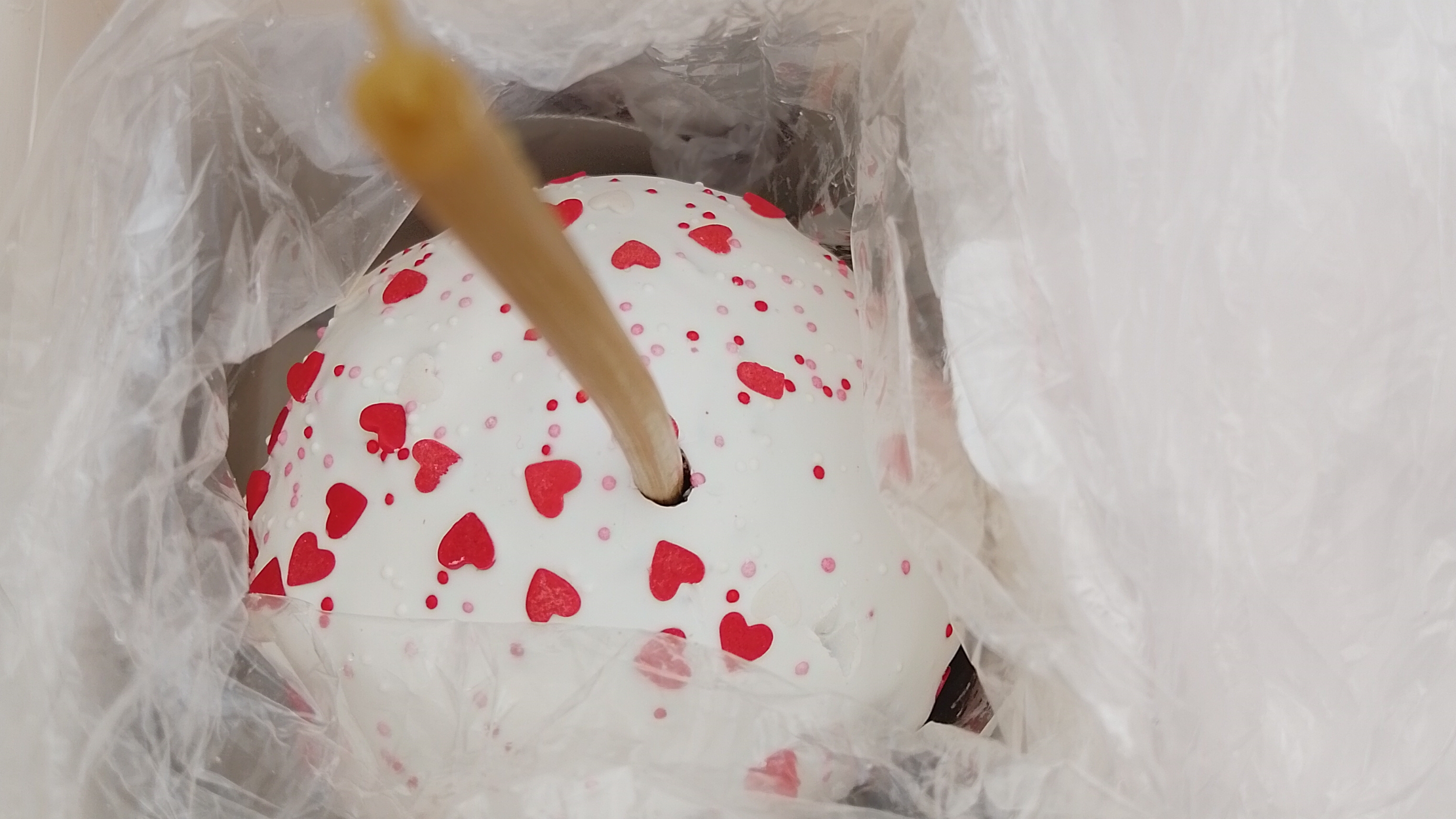 Стоим очередь к Площенице