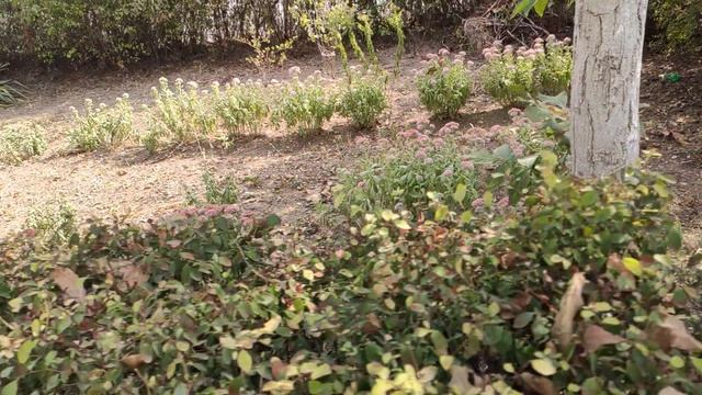 Один из дней города Евпатории | 14 сентября 2021 г | Крым ХАН БАТОН XAH 6ATOH | VID_20210914_144114