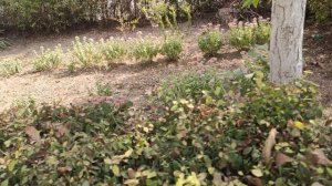 Один из дней города Евпатории | 14 сентября 2021 г | Крым ХАН БАТОН XAH 6ATOH | VID_20210914_144114