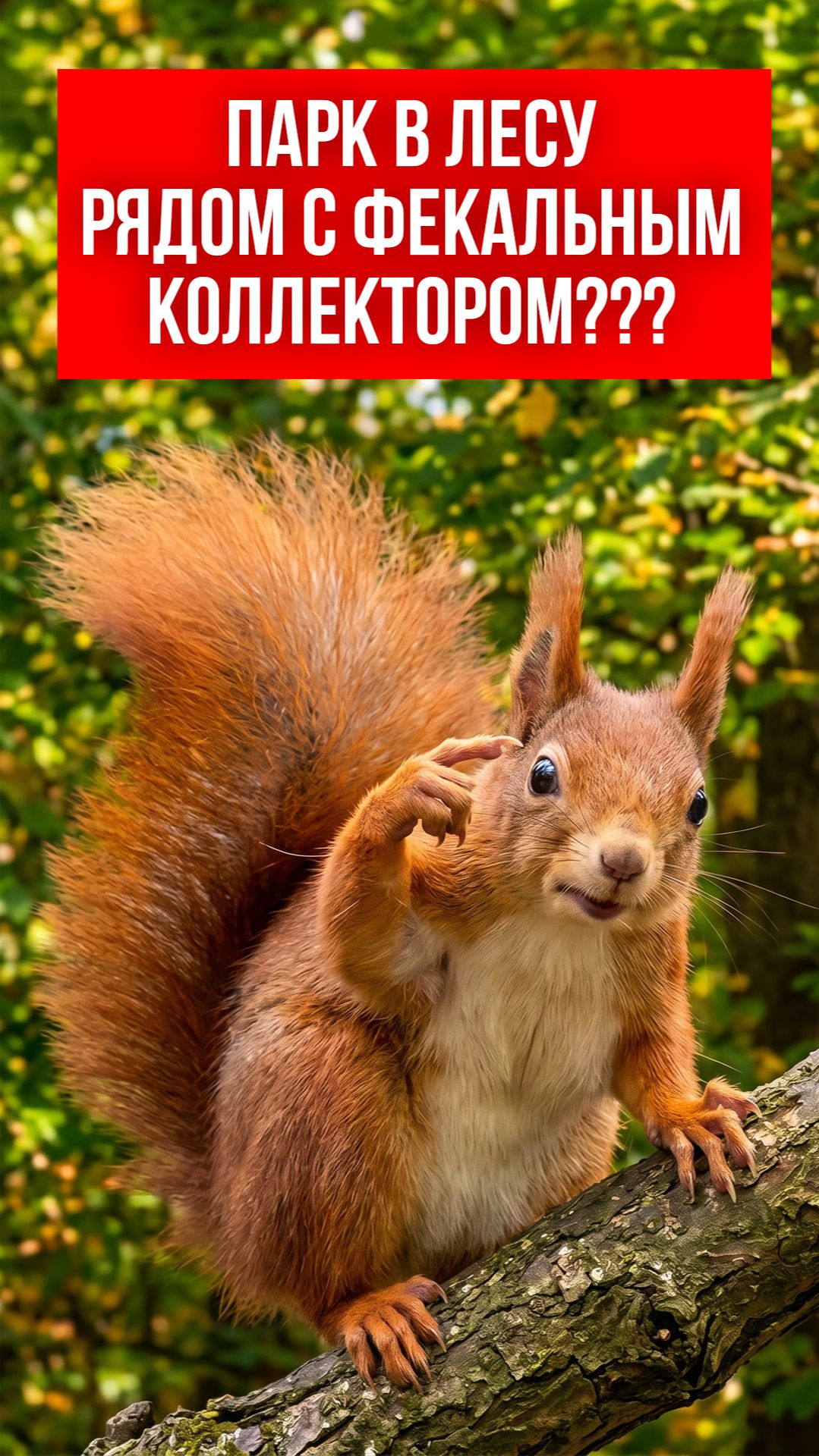 Парк в лесу рядом с фекальным коллектором???