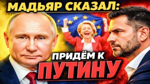 ПЕРЕГОВОРЫ С ПУТИНЫМ! ТРАМП «ПРОИГРАЛ» — МАСКИ СБРОШЕНЫ, БРЮССЕЛЬ ПРАЗДНОВАЛ