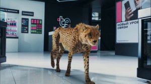 Т2 - Выгодно всем (2026)