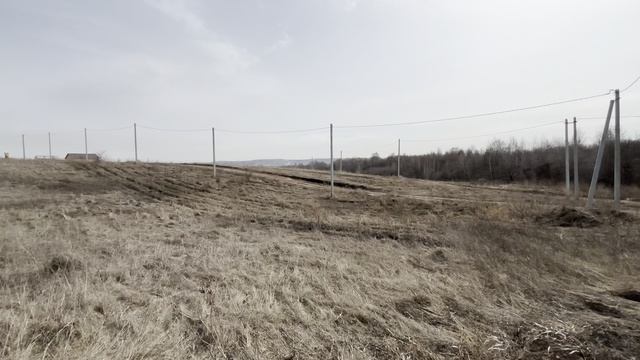 село Бедарево