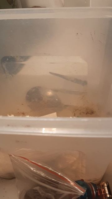 так вот как