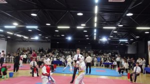 Третий бой - Победа! Фестиваль по Киокусинкай НАШИ НАДЕЖДЫ г. Ростов-на-Дону 11.04.2026 г.