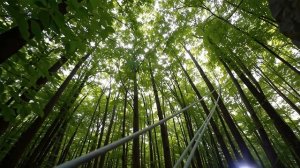 путишествие 1