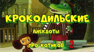 Крокодильские анекдоты про котиков 2.