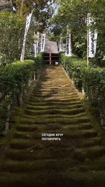 Японское садово-парковое искусство