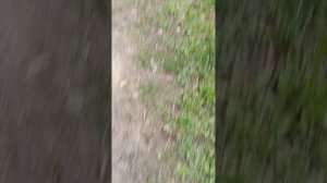 я уже прошла половину пути🫪