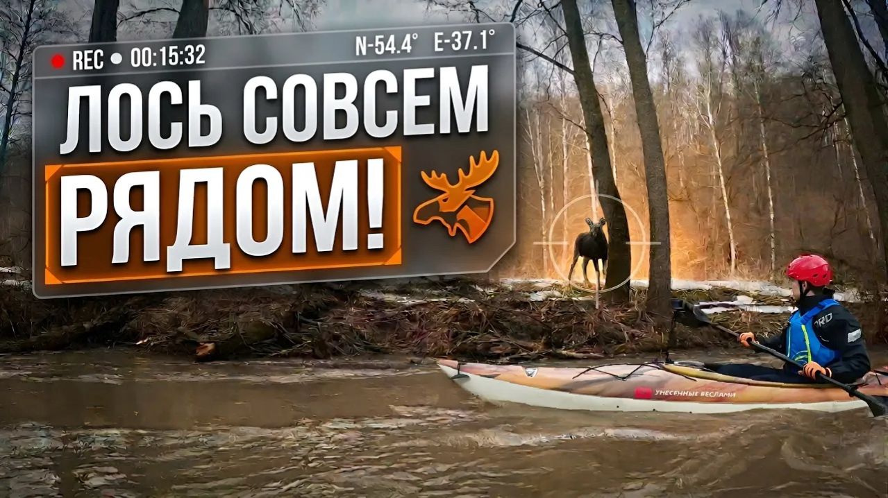 Сплав по реке Крушма 2026: Первый паводок, оверкили и встреча с лосем!