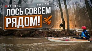 Сплав по реке Крушма 2026: Первый паводок, оверкили и встреча с лосем!