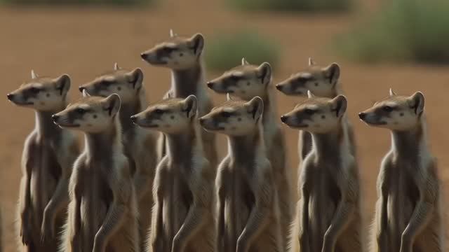 Иммерсивная зарядка для всей семьи: энергия, веселье и движение!