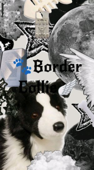 трансляция🍄 распаковка