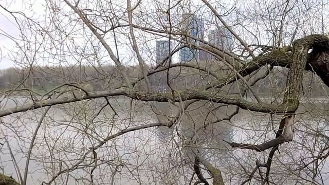 16 апреля. Водяного угощать пора. Народный календарь. Поверья, приметы, обряды