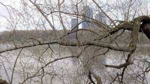 16 апреля. Водяного угощать пора. Народный календарь. Поверья, приметы, обряды