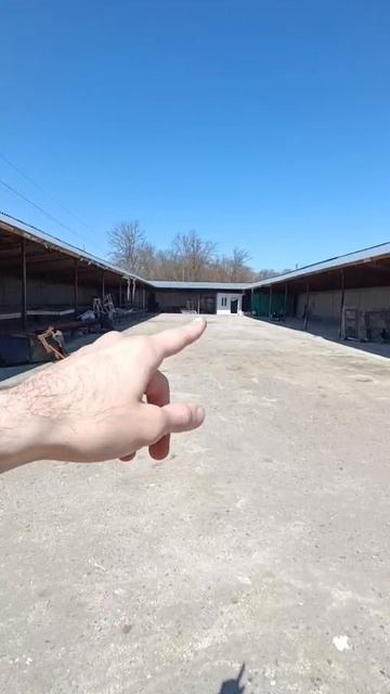 WhatsApp Video 2026-04-04 at 23.28.49