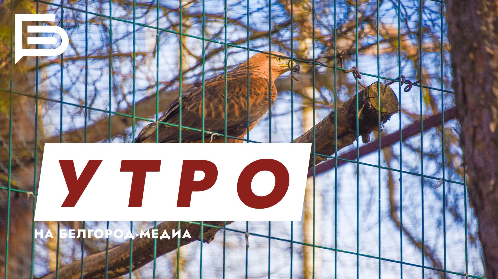 Утро Белгорода