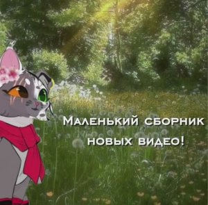 Подборка новых видосов! Я вышла из реста!)