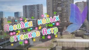 14.04.26 Составляю🌸🤔🌸композиции
