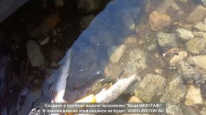 Моё первое путешествие, за Саяно-Шушенскую ГЭС в 2022 г.