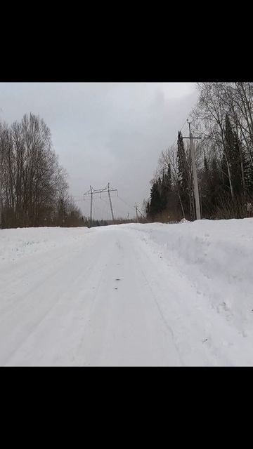 «Снег ещё не сдался»