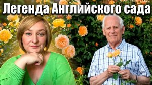 Золото Дэвида Остина: Роза, которая изменила всё