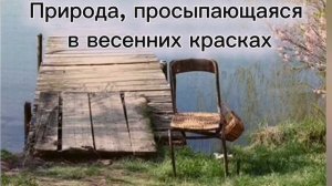 Природа, просыпающаяся в весенних красках