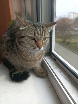 😒😒😒😑😑😑