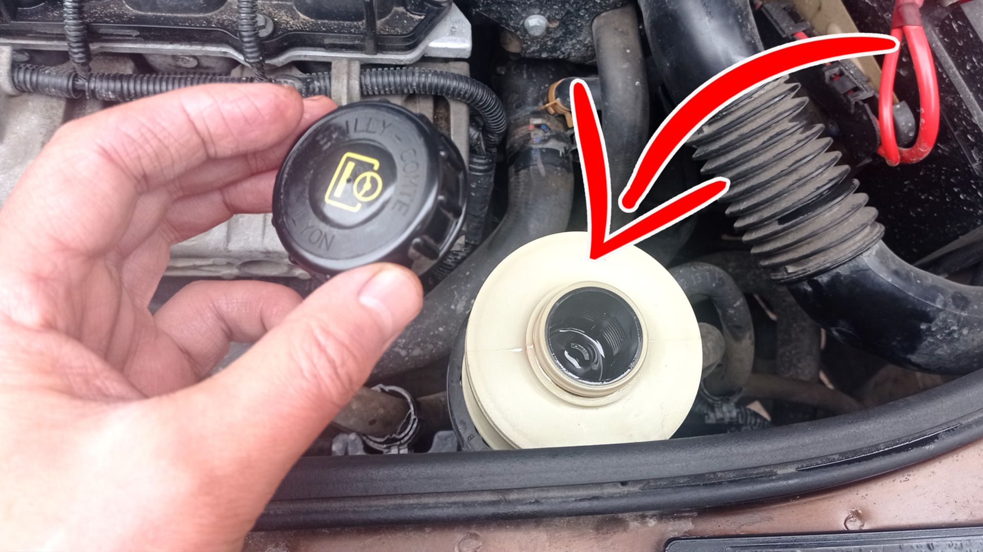 Быстрая Замена Жидкости ГУР. Рено Дастер К4М