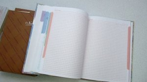 Описания игрушек. Как я веду записи