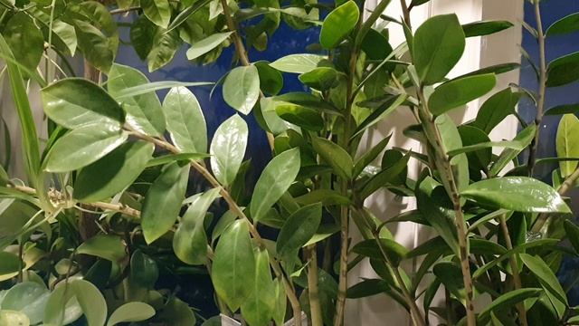 Снегопад в апреле