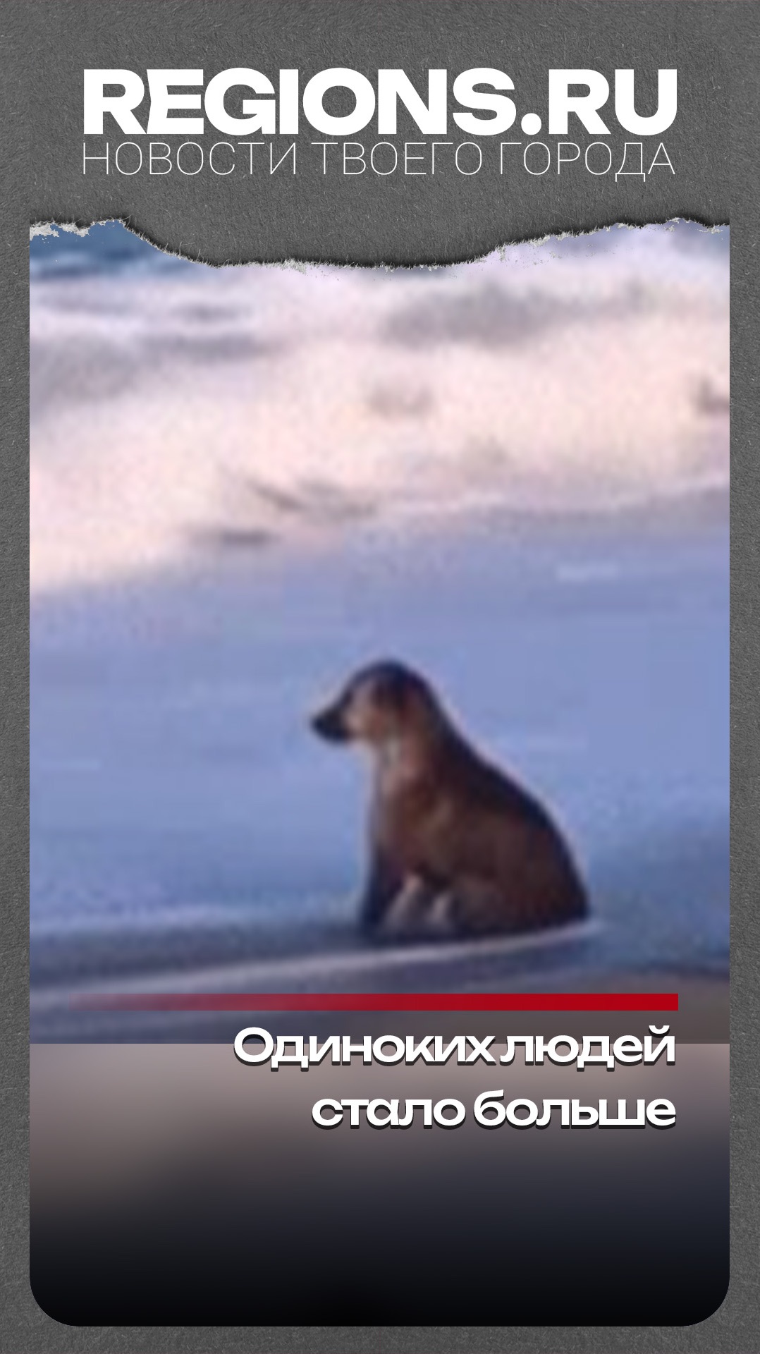 Одиноких людей стало больше