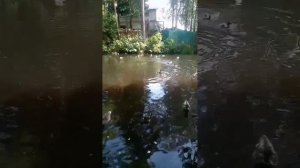 Ленинградская Область