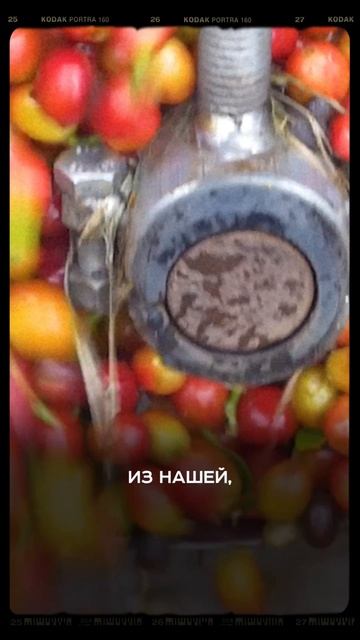 Зачем мы едем в Гватемалу в феврале?