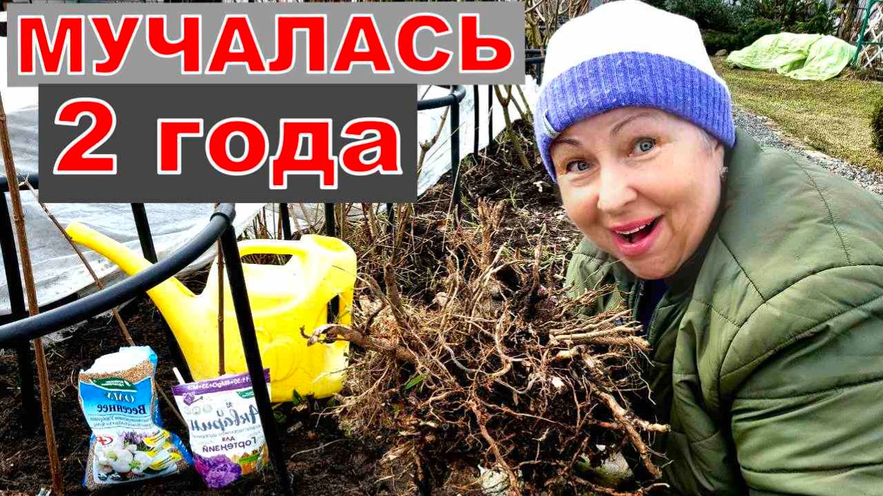 Два года мучалась, но не спасла. Нашла замену, хоть бы теперь все было хорошо