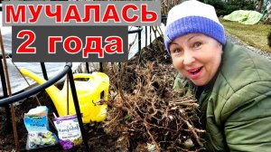 Два года мучалась, но не спасла. Нашла замену, хоть бы теперь все было хорошо