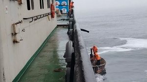 Путина на красную рыбу  2025  привозят прорезь КУНГАС