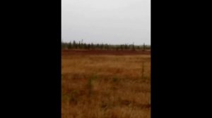 Тундра Странный проход Tundra Strange Passage