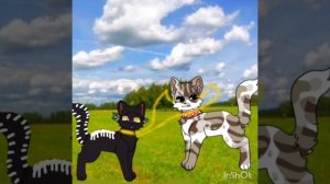 Древошкурка убила Костезвёзда и Молнехвостку! Делайте реакции!!