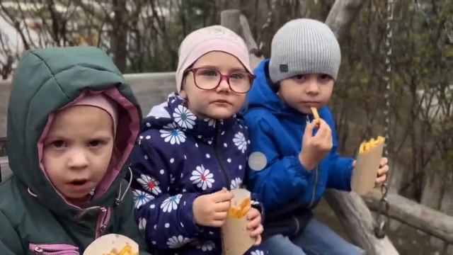 Прогулка в Южный экопарк птиц 