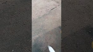 ахахаххаах