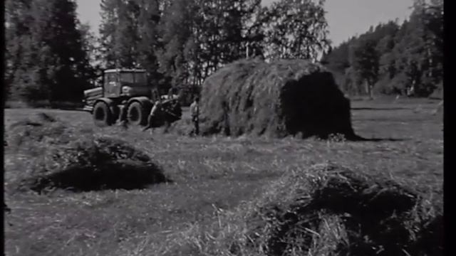 Поет Анна Григорьевна Кокорина (Шомбина)