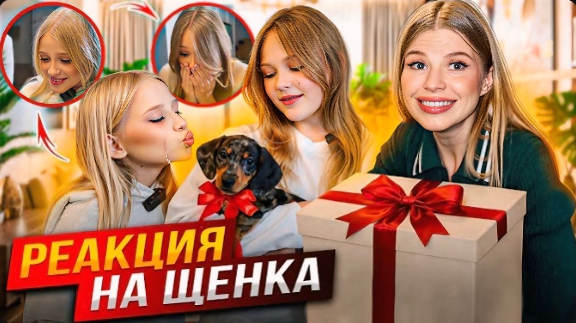 РЕАКЦИЯ на ЩЕНКА ! НЕ СПРАВИЛИСЬ в ПЕРВЫЙ же ДЕНЬ!