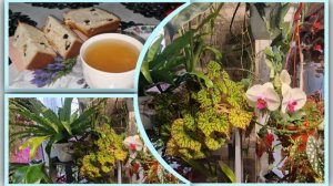 Не ела его 5 недель. Орхидеи и комнатные цветы. Пасхальный влог.