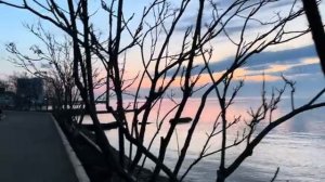 ОДЕССА 14 АПРЕЛЯ 2026. СОР0С ЗАБРАЛ ВЕНГРИЮ. МАДЬЯР ПРОТИВ ПОСТАВОК 0РУЖИЯ И ЗА ПЕРЕГОВОРЫ С ПУТИНЫМ