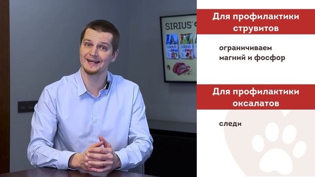 Мочекаменная болезнь у кошек | #знаю_чем_кормлю