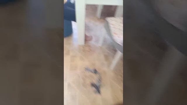 человек спидран стрим готовим секретный кофе