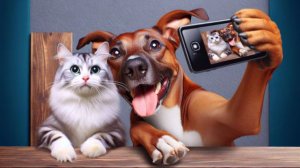 Смешные и забавные животные 😻😺 Лучшие приколы с животными 🐶 Подборка забавных животных