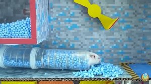 Хомячок убегает из красочного лабиринта с пауком! 6 часть