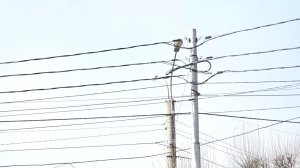 БОЛЕЕ ДЕСЯТИ УЛИЦ КРАСНОЯРСКА ОСТАЛИСЬ БЕЗ СВЕТА